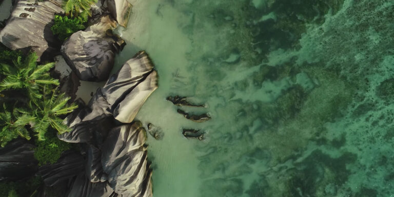 seychelles womens trust fund 768x384