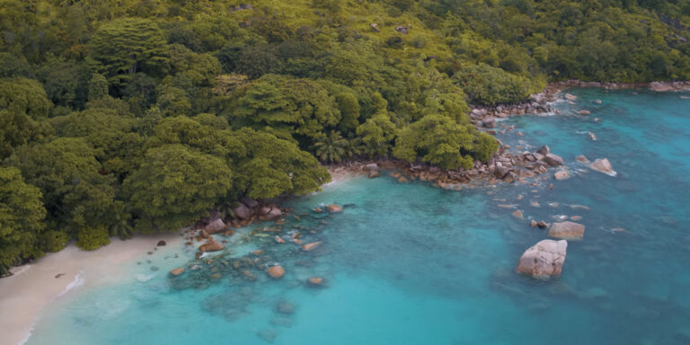 seychelleslead 768x384