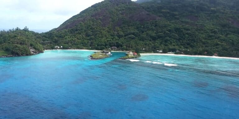 seykool services 768x384