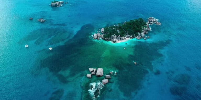 seylicious pty ltd 768x384