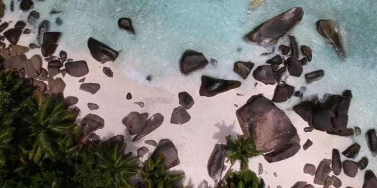 seynamon limited 768x384