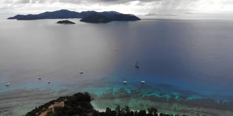 shalini trading 768x384