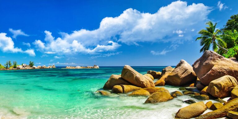 shree kutchi leva patel samaj seychelles 768x384