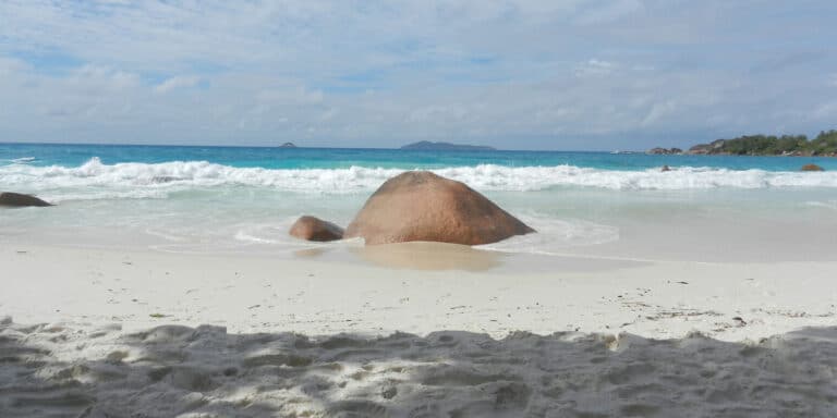 shun da trading 768x384