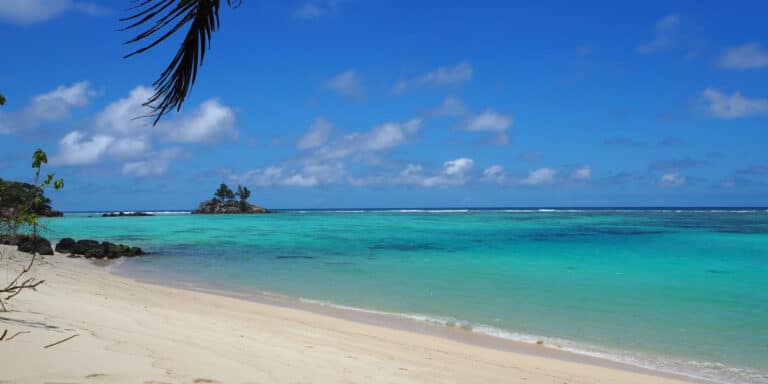 sicobo constrcution pty ltd 768x384