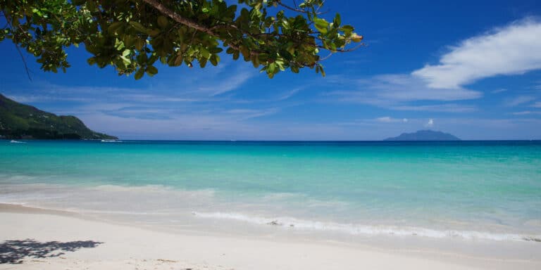 silhouette island resort ltd 768x384