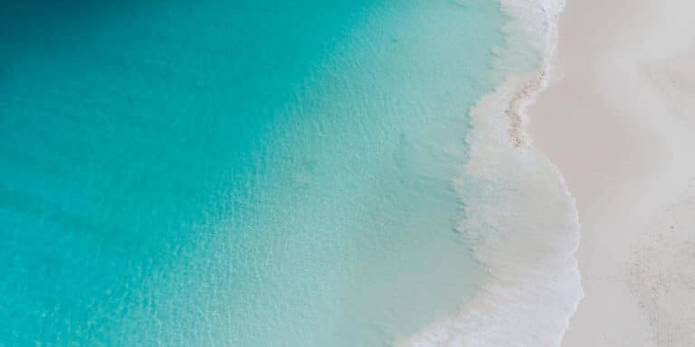 simon mitchell 768x384