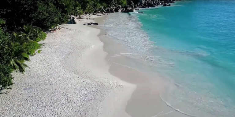 smart fragrances pty ltd 768x384