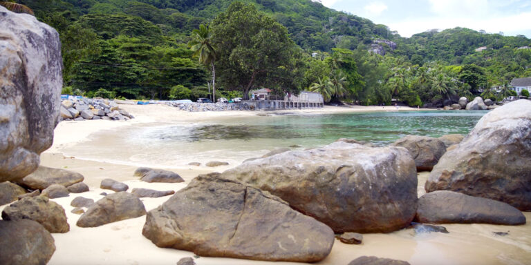 smart machine pty ltd 768x384