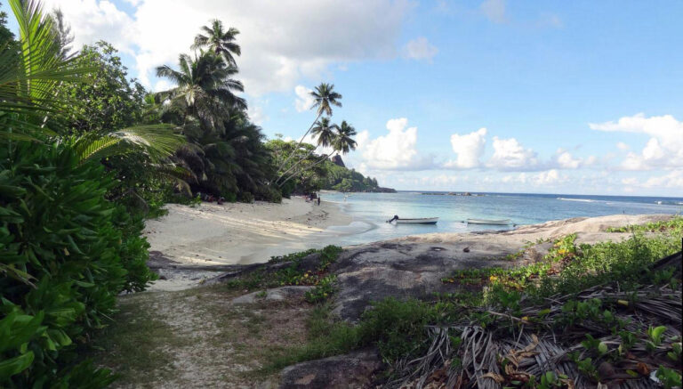 smart secure solutions pty ltd 768x437