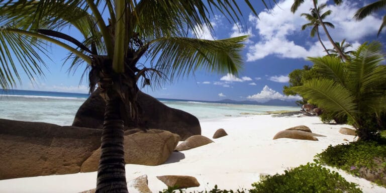 smile dent seychelles 768x384
