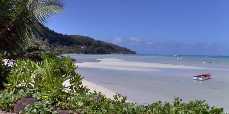 snorkeling in seychelles islands tours belle petra boatcharter 768x384