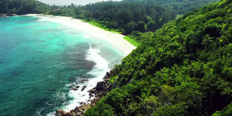 song bird villa 768x384