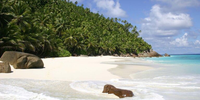 splash company proprietary limited 768x384