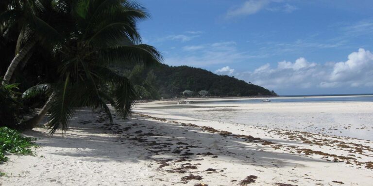 splash jewellery seychelles 768x384