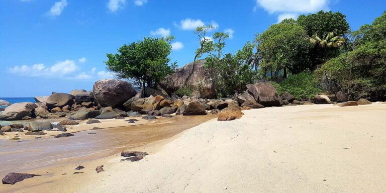 sri maha mart 768x384