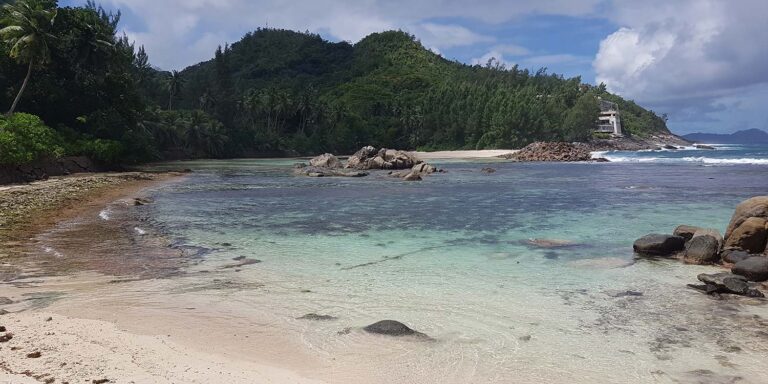 stained glass by thoughts 768x384