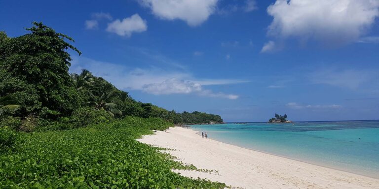 star casino seychelles 768x384