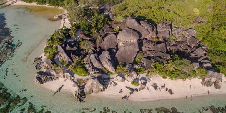 starlink telecom seychelles 768x384