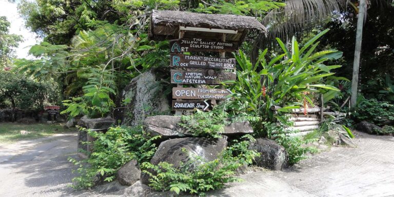 Steve's Birding & Eco Tours steves birding eco tours 768x384