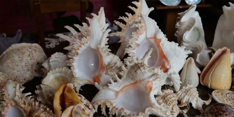 stone self catering 768x384