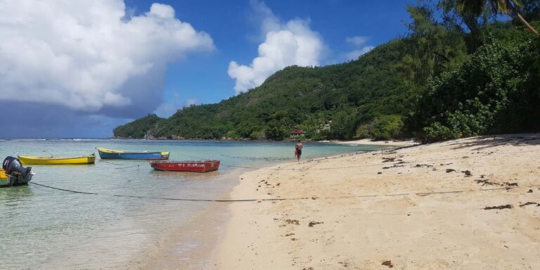 stubs enterprises sey pty ltd 768x384