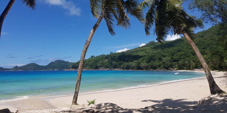 style seychelles 768x384