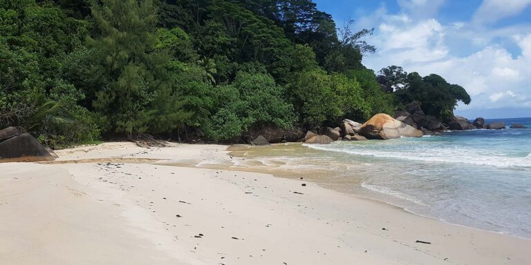 subash pillay 768x384