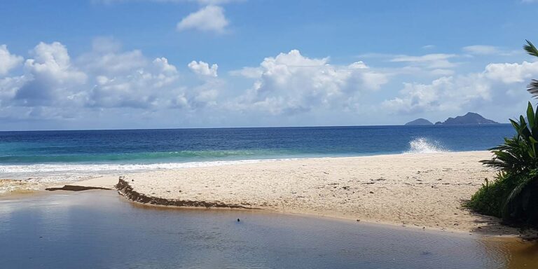 submarine activity federation safs 768x384