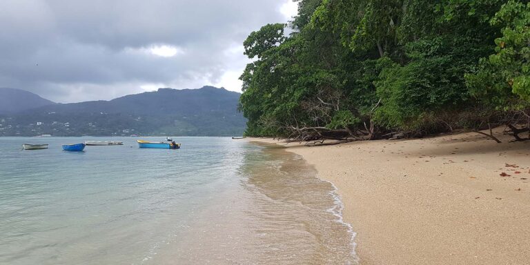 sujaa enterprises 768x384