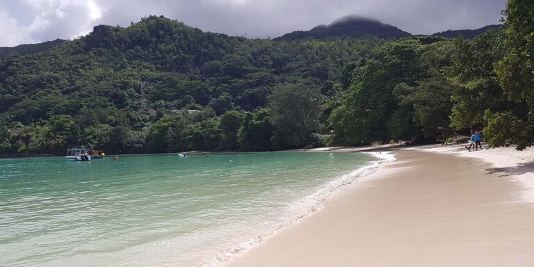 summer self catering 768x384