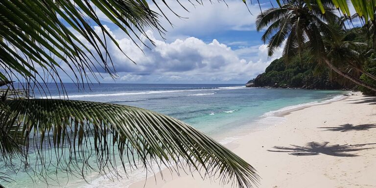 sun excavations proprietary limited 768x384