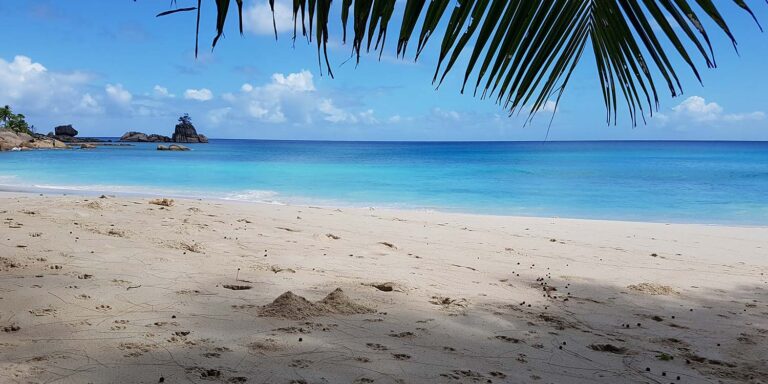 sun motors ltd 768x384