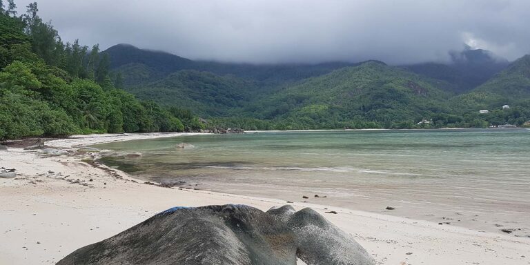 sunny seychelles boat charter 768x384