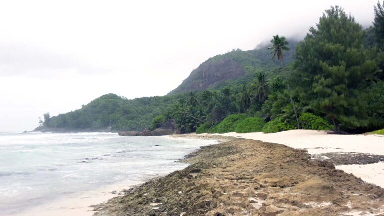 sustainability for seychelles 768x432