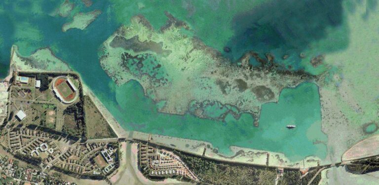 swimblue import 768x375