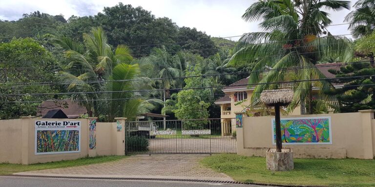 Techzone Seychelles techzone seychelles 768x384