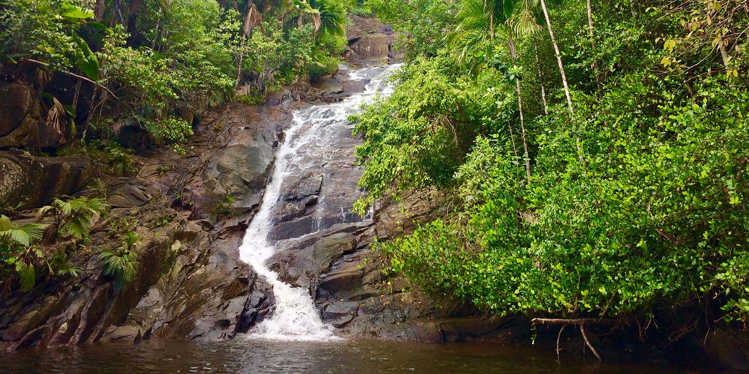 terrestrial restoration action society of seychelles