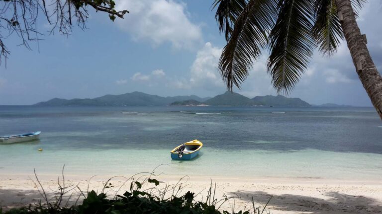 the association of promoters of complementary health in seychelles apochis 768x432