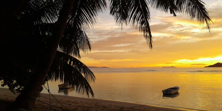 the bar association of seychelles 768x384