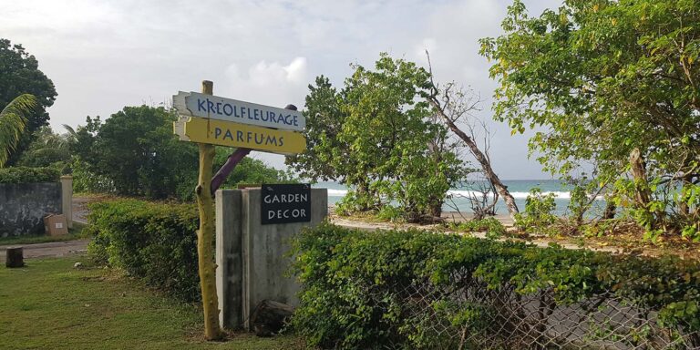 The Children's House the childrens house 768x384