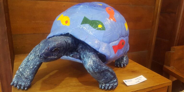 the christian fellowship of seychelles 768x384