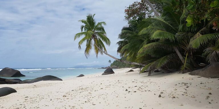 Profile the coffee club seychelles 768x384