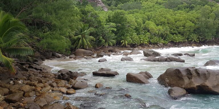 the creative studio seychelles 768x384