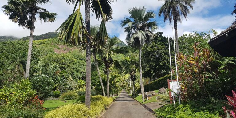 the golden egg poultry farm seychelles 768x384