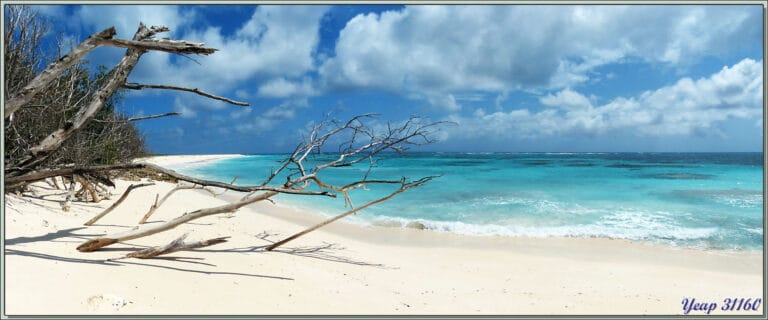 the oasis hotel and restaurant 768x320