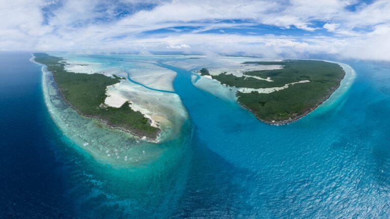 the palm seychelles 768x432