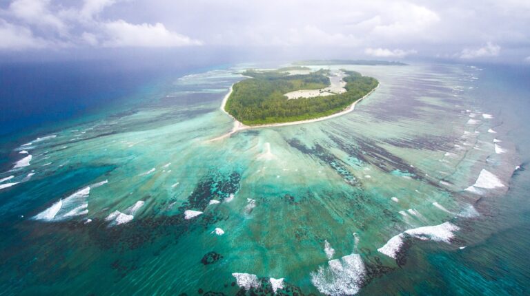 the seychelles association of the blind and visually impaired sabvi 768x430