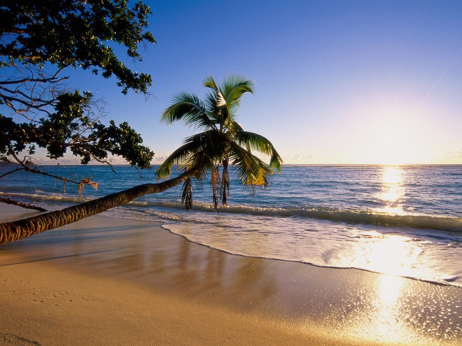the seychelles islands