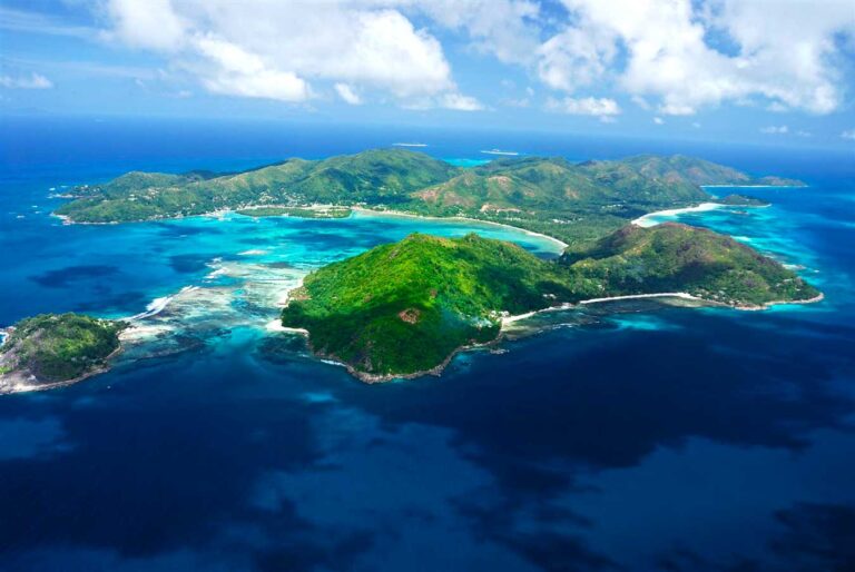 the seychelles occupational therapy association 768x514